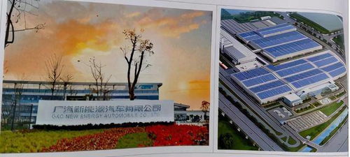 番禺 探秘化龍 這26句情話,讓你再一次愛(ài)上它